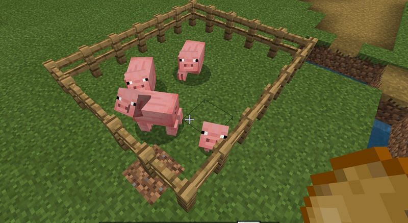 Как разводить свиней в Minecraft6