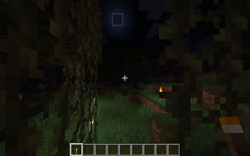 Как найти слаймов в Minecraft3