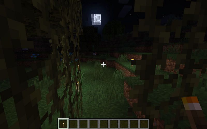 Как найти слаймов в Minecraft2