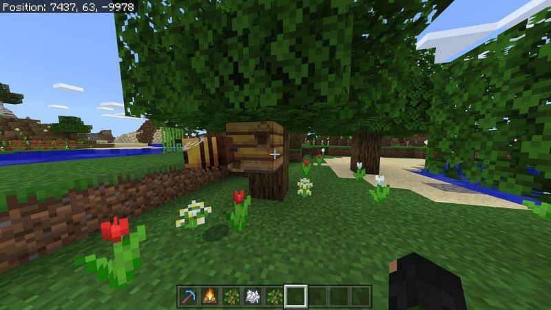 Как получить мед в Minecraft4