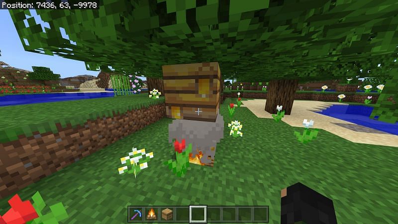 Как получить мед в Minecraft6
