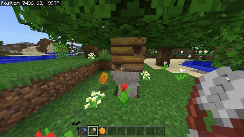 Как получить мед в Minecraft9