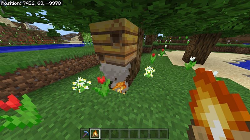 Как получить мед в Minecraft5